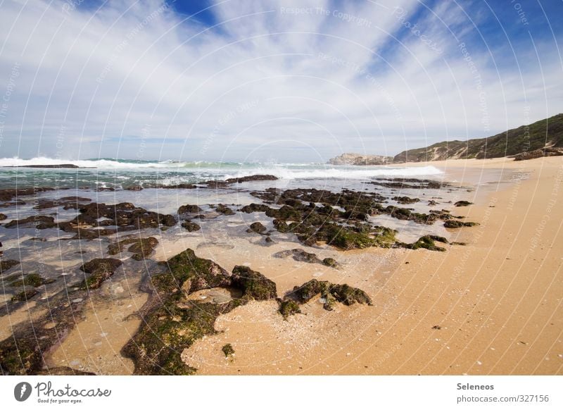 Kenton Ferien & Urlaub & Reisen Tourismus Ausflug Abenteuer Ferne Freiheit Sommer Sommerurlaub Sonnenbad Strand Meer Wellen Umwelt Natur Landschaft Himmel