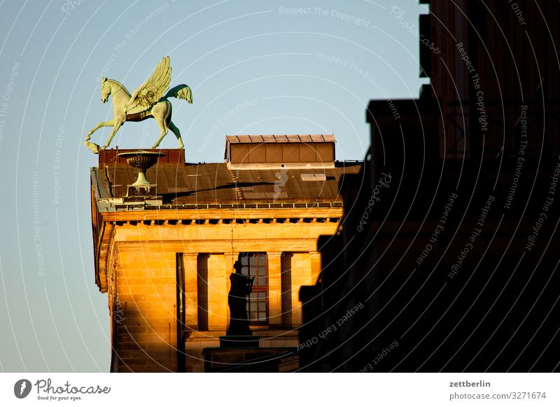 Pegasus Architektur Berlin Büro Großstadt Deutschland Gendarmenmarkt Hauptstadt Haus Himmel Himmel (Jenseits) Stadtzentrum Berlin-Mitte pegasus Skyline