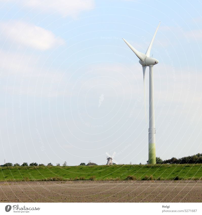 Größenunterschied Windkraftanlage und historische Windmühle Energiewirtschaft Erneuerbare Energie Umwelt Natur Landschaft Pflanze Himmel Wolken Sommer