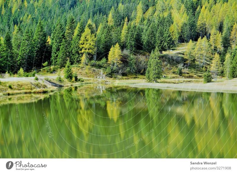 Bergsee Umwelt Natur Landschaft Pflanze Sommer Herbst Klima Klimawandel Wald Alpen Schlucht Küste Seeufer Nassfeldsee hell natürlich schön grün Tourismus