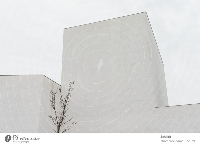 Modern Architektur Baum Stadt Bauwerk Gebäude hässlich neu trist grau modern fensterlos kahl leblos ohne Fenster Äste junger Baum Beton kubisch grau in grau