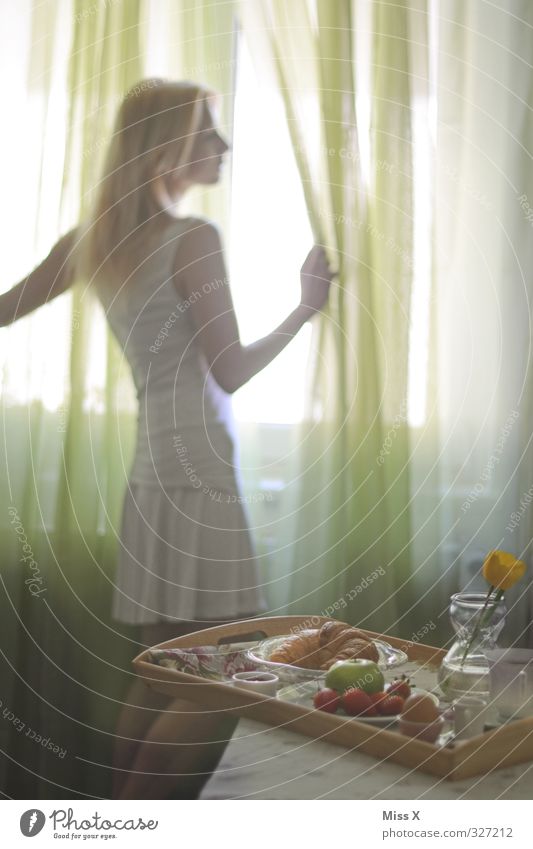 Frühstück* Lebensmittel Frucht Croissant Kuchen Ernährung Kaffeetrinken Büffet Brunch Heißgetränk Häusliches Leben Tisch Mensch feminin Frau Erwachsene 1