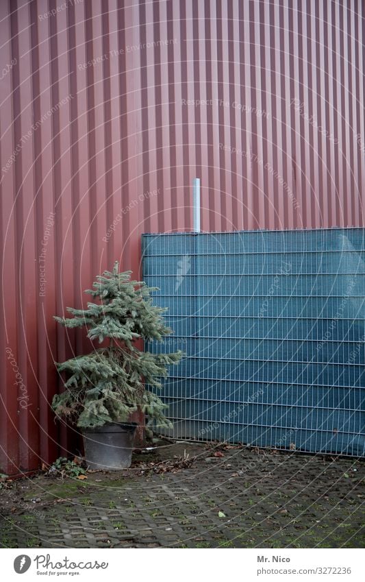 geschenkt ist noch zu teuer Umwelt Herbst Winter Pflanze Baum Industrieanlage Gebäude Fassade trist Zaun Halle Lagerhalle Tanne Weihnachtsbaum