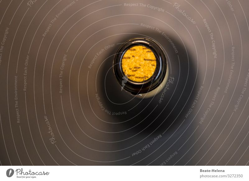 weinselig Getränk Wein Flasche Korken Gesundheit Leben Feste & Feiern Party Weinflasche Zeichen entdecken Erholung genießen trinken fantastisch Zusammensein