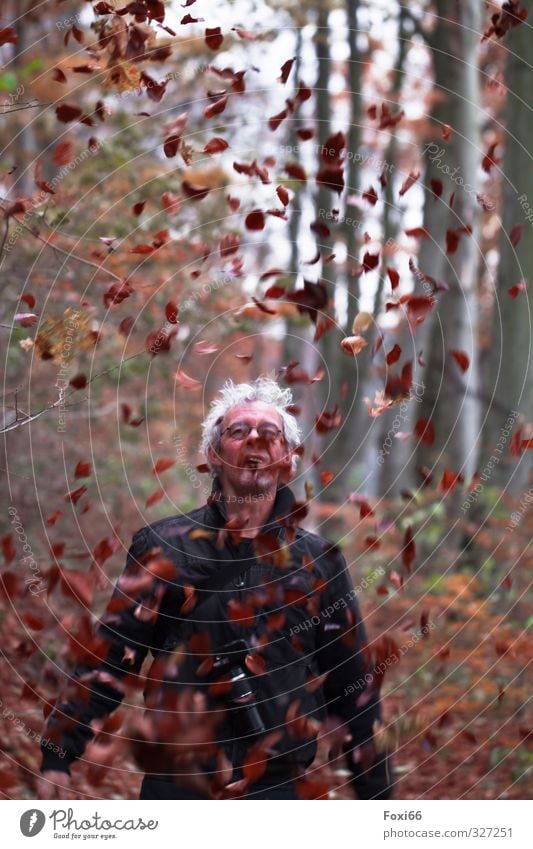 der Herbst ist da Ausflug wandern maskulin Mann Erwachsene 45-60 Jahre Natur Blatt Laubwald Baum Buche Wald Bewegung Erholung Fröhlichkeit kalt braun gelb grün