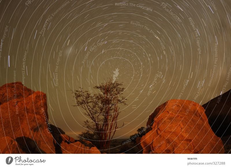 Kreisbahn Sternhimmel Langzeitbelichtung Umwelt Natur Landschaft Erde Himmel Wolkenloser Himmel Nachthimmel Baum Berge u. Gebirge Stein drehen Wärme braun