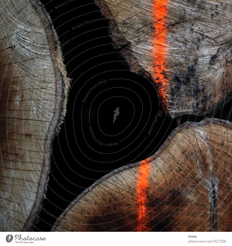 Baumaterial | Kleiderschrank in spe Landwirtschaft Forstwirtschaft Baustelle Baumstamm holzeinschlag Holz Zeichen Schilder & Markierungen liegen Design Kraft