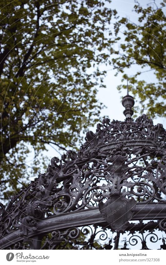 am brunnen unterm baume... Natur Pflanze Baum Blatt Graz Schlossberg Metall ästhetisch historisch Kitsch rund Ornament Brunnen Gewölbe Gitter Ranke Wappen Dach