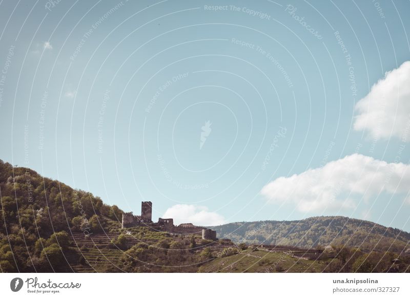 burg. irgendwo in der wachau. Natur Landschaft Himmel Wolken Schönes Wetter Baum Hügel Felsen Berge u. Gebirge Wachau Burg oder Schloss Ruine Turm Bauwerk Mauer