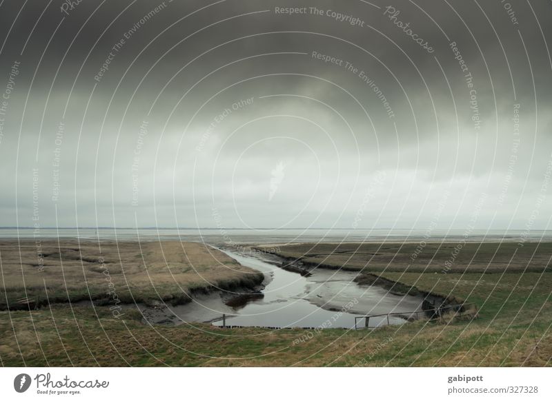 rømø-Schlusslichtermulti Umwelt Natur Landschaft Urelemente Erde Sand Luft Wasser Himmel Wolken Horizont Herbst Winter Wetter schlechtes Wetter Küste Seeufer