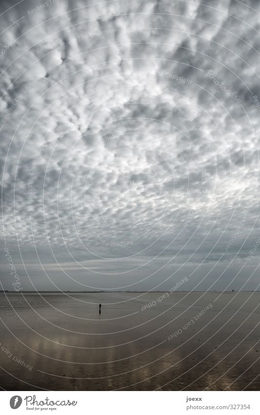 Verloren 1 Mensch Natur Luft Himmel Wolken Horizont Wetter schlechtes Wetter Küste Strand Nordsee Insel Amrum laufen dunkel Unendlichkeit kalt grau ruhig Trauer