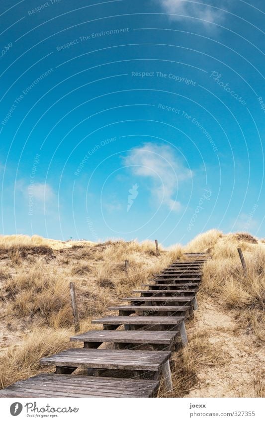 Schritt für Schritt Ferien & Urlaub & Reisen Ferne Freiheit Sommer Sommerurlaub Strand Natur Landschaft Himmel Wolken Schönes Wetter Gras Hügel Insel Amrum Düne