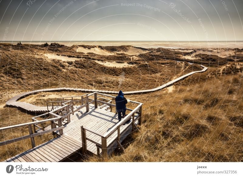 Landschaftsmaler 1 Mensch Natur Pflanze Wasser Horizont Schönes Wetter Park Hügel Küste Strand Insel Amrum Wege & Pfade Blick stehen blau braun grau grün