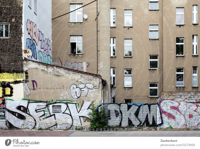 Fassade Berlin Stadt Haus Gebäude Plattenbau Fenster Hinterhof Blick Häusliches Leben authentisch Billig kaputt Originalität braun Enttäuschung Langeweile