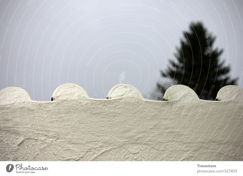 Schwarzwald. Ferien & Urlaub & Reisen Umwelt Himmel Baum Mauer Wand Backstein einfach grau weiß Gefühle Schutz Neugier Fichte Putz Farbfoto Gedeckte Farben