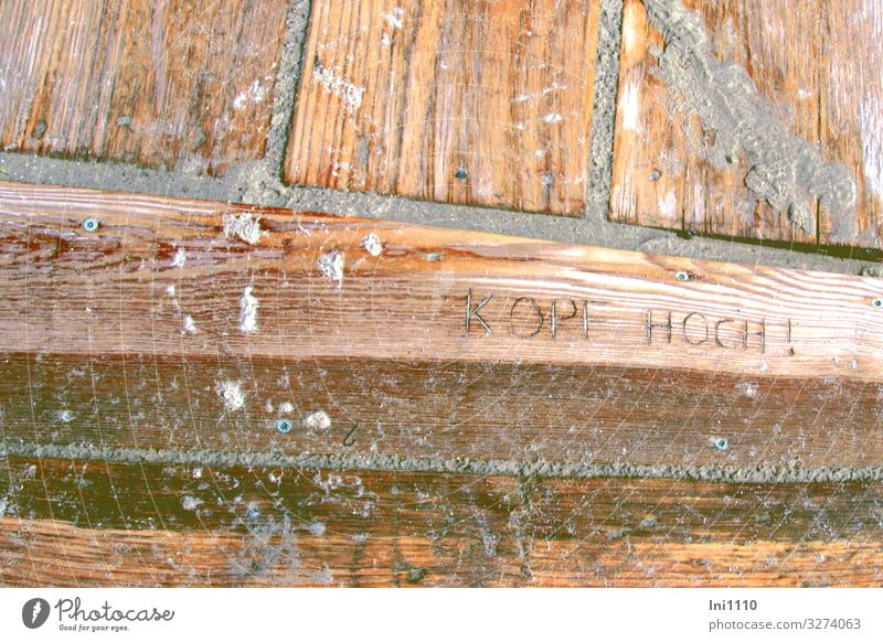 Kopf hoch! Landschaft Sommer Regen Seeufer Strand Nordsee Insel Helgoland Sand Holz braun grau rot Strandspaziergang Steg Holzbrett Düne nass aufmuntern