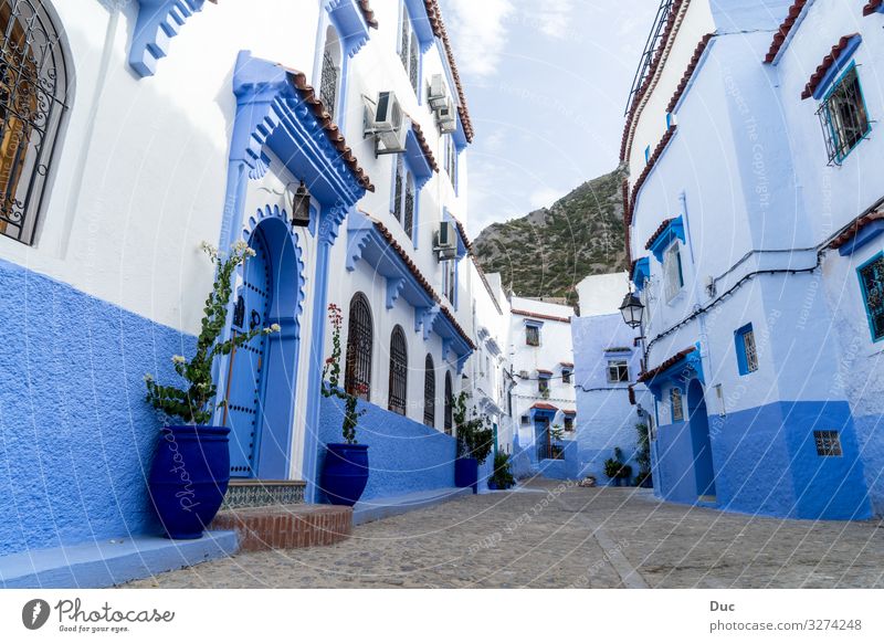 Blue city Chefchaouen Ferien & Urlaub & Reisen Religion & Glaube Tradition architecture house street town Großstadt sky window alley old narrow horizontal blue