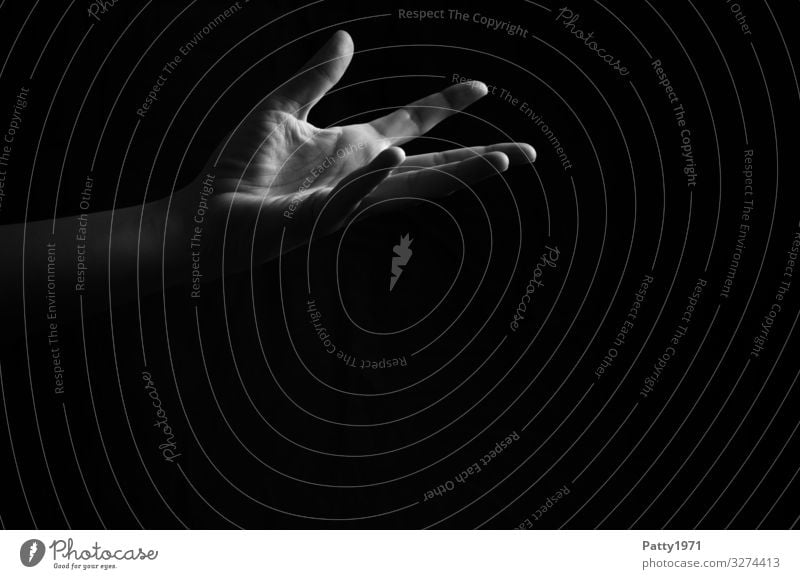 Hand feminin Arme 1 Mensch ästhetisch Gefühle Vertrauen Hilfsbereitschaft Ehrlichkeit Schwarzweißfoto Textfreiraum unten Textfreiraum Mitte Hintergrund neutral