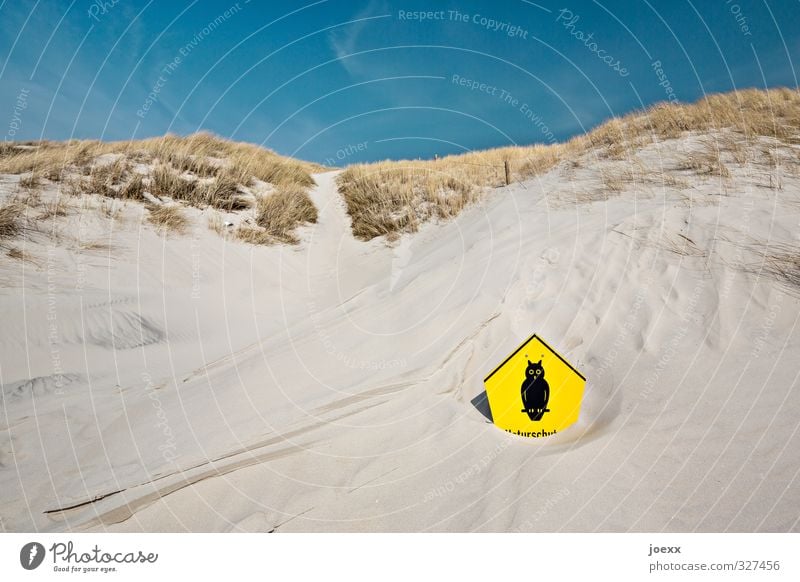 Naturschutz-Eule Landschaft Sand Himmel Horizont Sommer Schönes Wetter Wind Gras Hügel Küste Strand Nordsee Insel Amrum Wege & Pfade Hinweisschild Warnschild