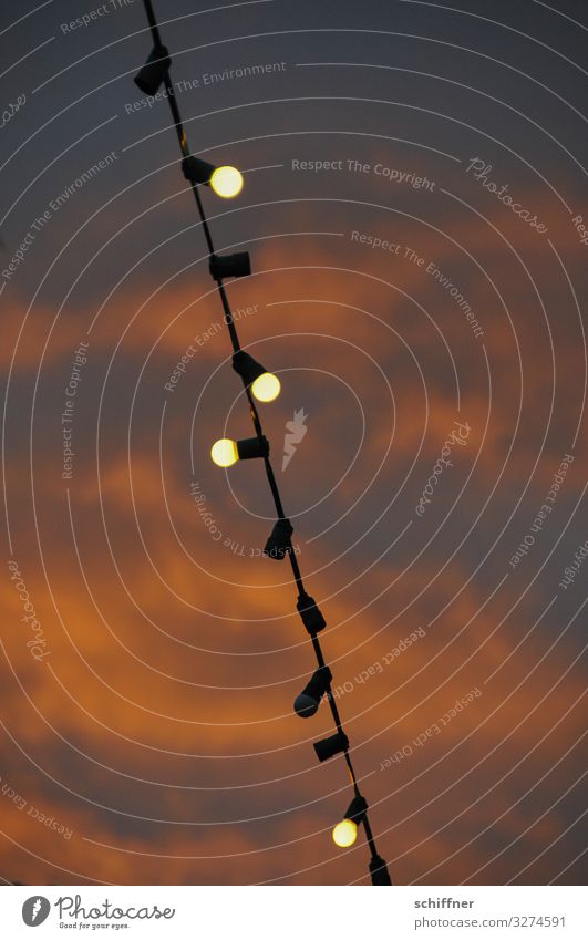Lichterkette vor vom Sonnenuntergang rötlich beleuchteten Wolken lichter Glühbirne Glühbirnen Stromausfall unvollständig Biergarten biergartensaison leuchten