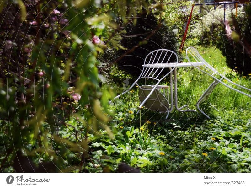 Gartenidyll Erholung ruhig Häusliches Leben Wohnung Stuhl Tisch Stimmung Idylle Gartenstuhl Gartentisch Gartenfest verwildert Farbfoto mehrfarbig Außenaufnahme