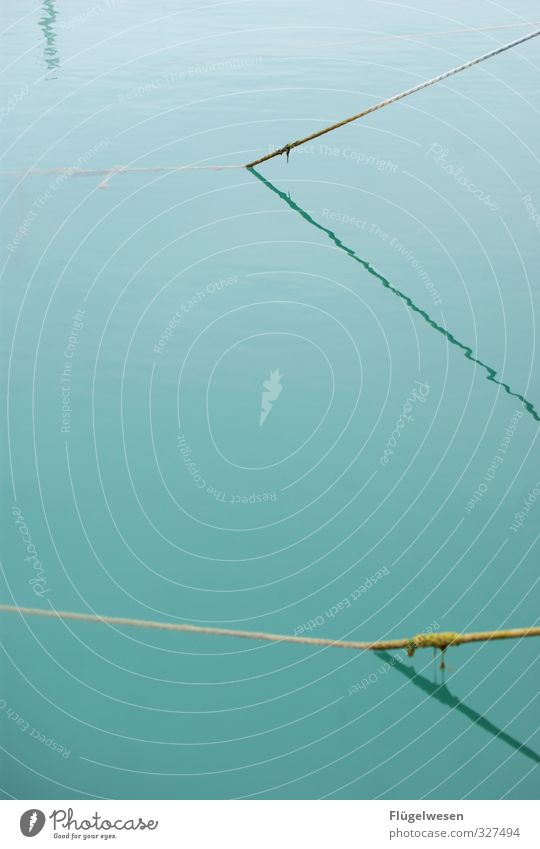 liniert Wellen Küste Seeufer Flussufer Strand Bucht Fjord Riff Nordsee Ostsee Meer Teich Bach Schwimmen & Baden Schatten Linie Seil Wasser