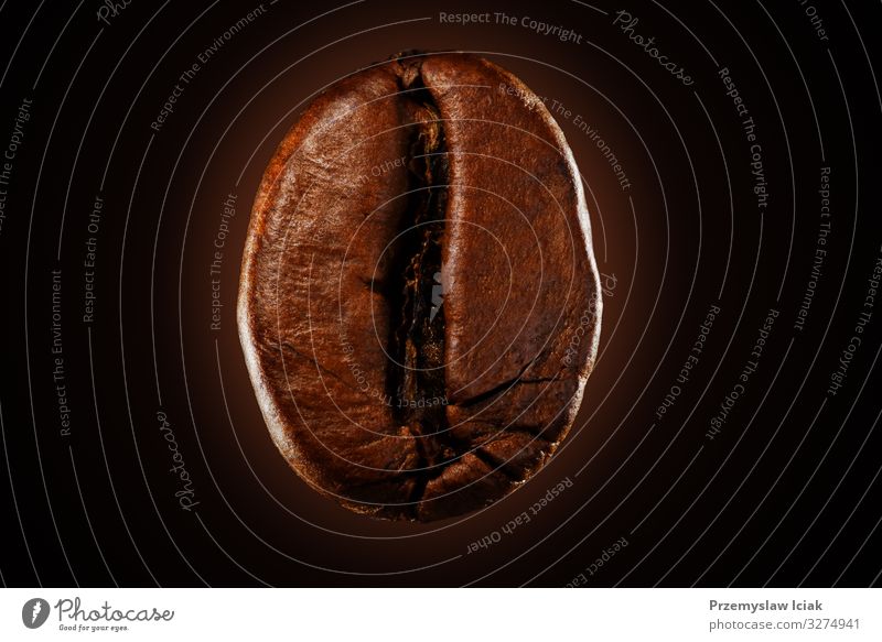 Eine Kaffeebohne auf schwarzem Hintergrund isoliert. 1 Nahaufnahme Frische Sucht Aroma Bohne groß Frühstück braun verbrannt brennend Café Koffein Cappuccino