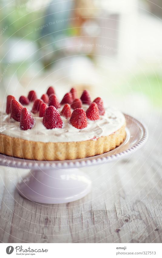 Versuchung Frucht Kuchen Dessert Süßwaren Ernährung Tortenplatte lecker süß Sahnetorte Erdbeeren Erdbeertorte Farbfoto Innenaufnahme Nahaufnahme Menschenleer