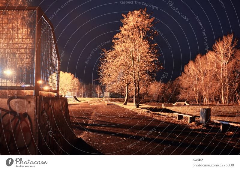 Bronx Natur Landschaft Pflanze Nachthimmel Winter Baum Gras Sträucher Fußballplatz Bank Papierkorb Bautzen Kleinstadt Stadtrand Straße bedrohlich dunkel ruhig