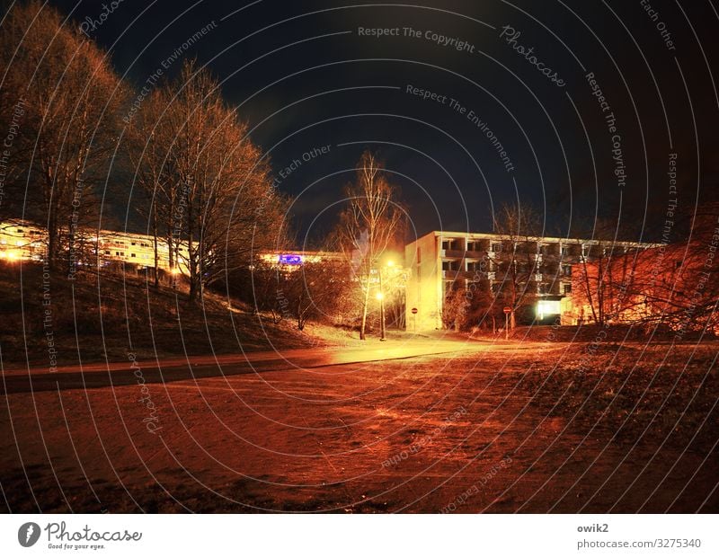 Nachtschicht Nachthimmel Baum Sträucher Bautzen Kleinstadt Stadtrand bevölkert Haus Gebäude Plattenbau Mauer Wand Balkon Fenster Straße Wege & Pfade