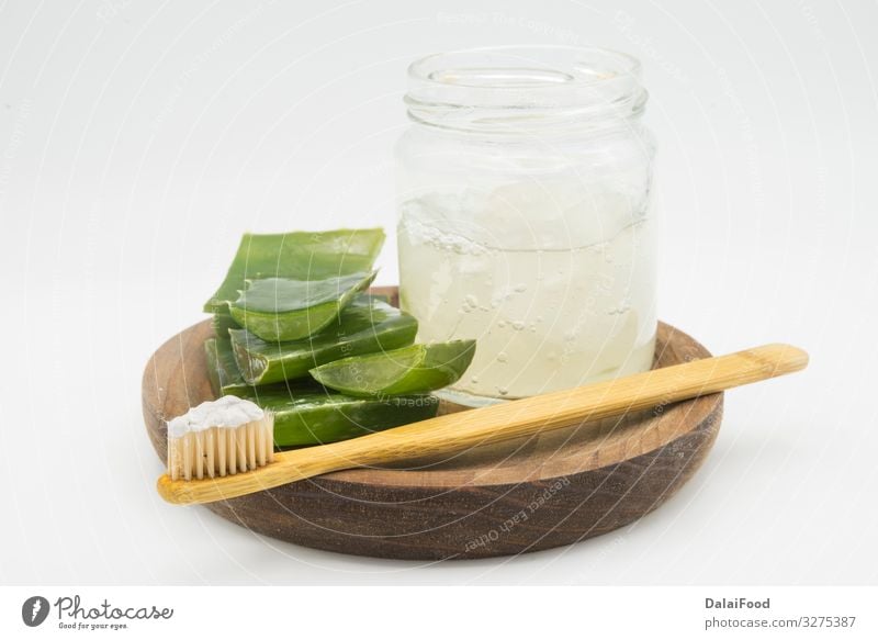 Frische Aloe Vera-Zahnpasta Gesundheitswesen Medikament Bad Mund Zähne Tube Zahnbürste Kunststoff Streifen frisch Sauberkeit blau weiß Schutz Aloe Vera Pflanze