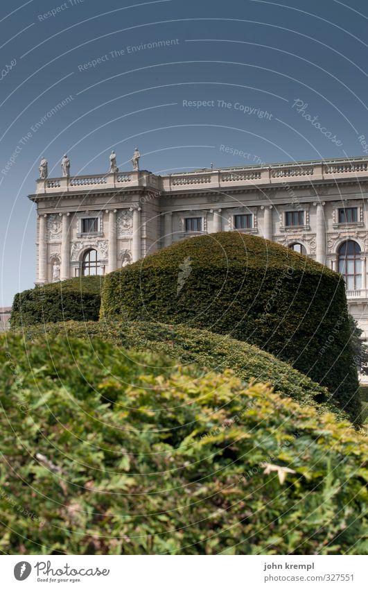 Versteckspiel Wolkenloser Himmel Sträucher Garten Park Wien Österreich Hauptstadt Altstadt Bauwerk Architektur Museum Fassade Sehenswürdigkeit