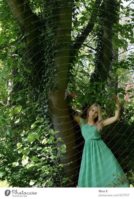 Waldelfe Mensch feminin Frau Erwachsene 1 18-30 Jahre Jugendliche Baum Efeu Kleid blond langhaarig schön Erotik grün Liebe Romantik Märchen Märchenwald Elfe Fee