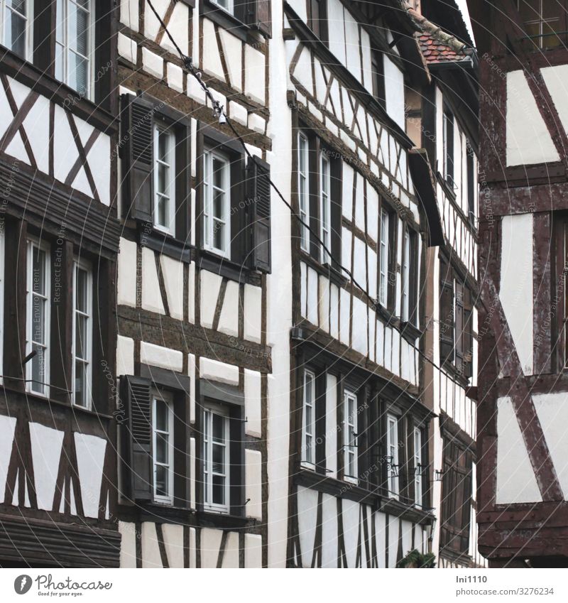 Fachwerk Straßburg Haus Mauer Wand Fassade Fenster Sehenswürdigkeit schwarz weiß Fachwerkhaus Fachwerkfassade Schwarzweißfoto Altstadt Denkmalschutz