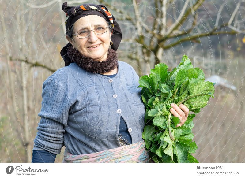 Porträt einer älteren Frau, die frisches Kräutergemüse aus dem Garten pflückt, Gemüse Ernährung Bioprodukte Vegetarische Ernährung Diät Lifestyle Stil