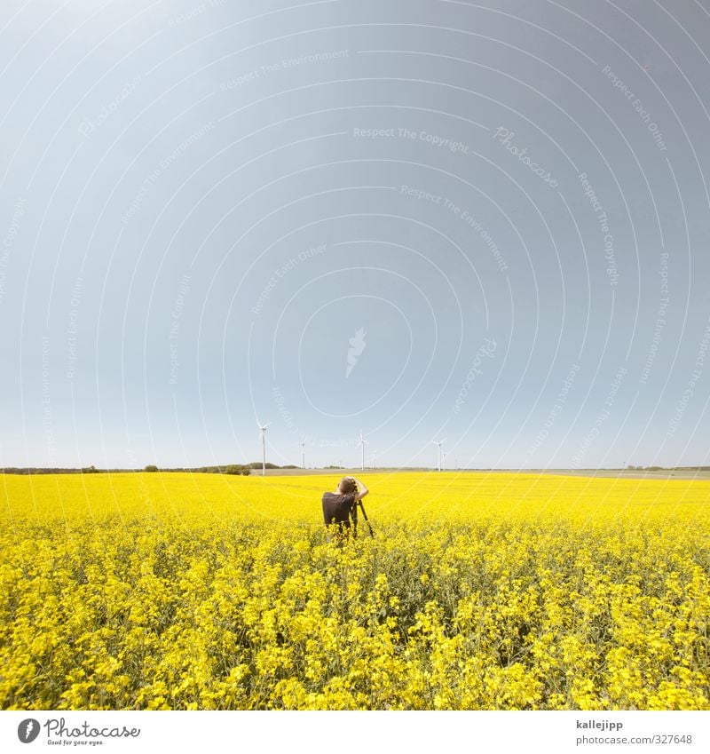 gelb Mensch maskulin Mann Erwachsene 1 30-45 Jahre Umwelt Natur Landschaft Pflanze Horizont Frühling Blüte Nutzpflanze Feld nachhaltig Rapsfeld Fotografie