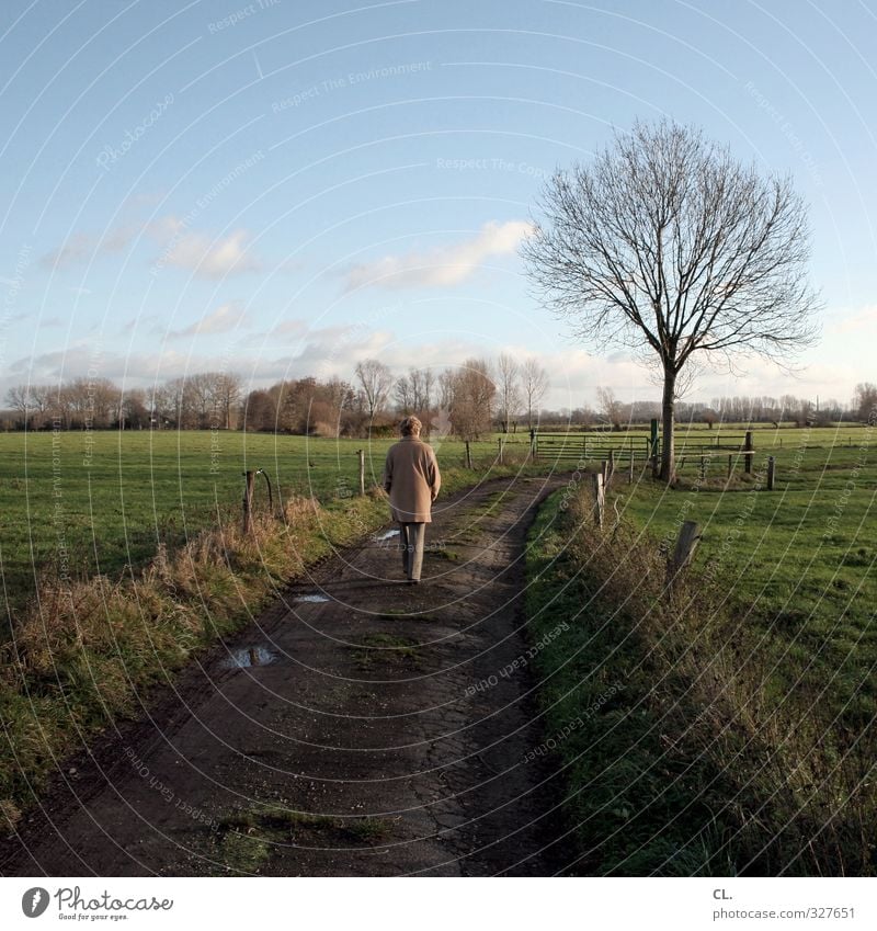 weg Mensch feminin Frau Erwachsene Weiblicher Senior 1 Natur Landschaft Himmel Herbst Schönes Wetter Baum Wiese Feld alt gehen ruhig Traurigkeit Sorge Trauer