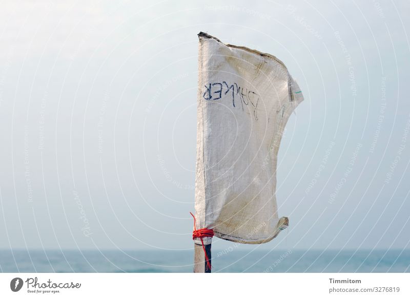 Behelfsfahne im Wind Fahme Fähnchen Aufschrift Buchstaben dänisch Pfosten Holt Schnur Nordsee Himmel blau Dänemark Meer Menschenleer Ferien & Urlaub & Reisen