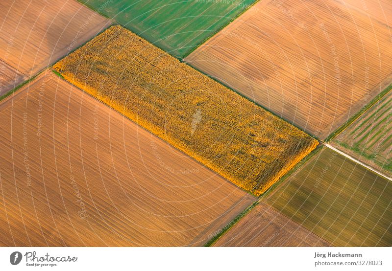 rural landscape with acre from hot air balloon Meditation Natur gelb Akko aerial afternoon agriculture autumn Hintergrundbild clear Europa farming field fields