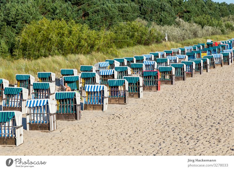 Strand mit Strandkörben in einer Reihe in Zinnowitz, Usedom Ferien & Urlaub & Reisen Tourismus Meer Sand Ostsee alt Strandkorb Düne leer Deutschland typisch