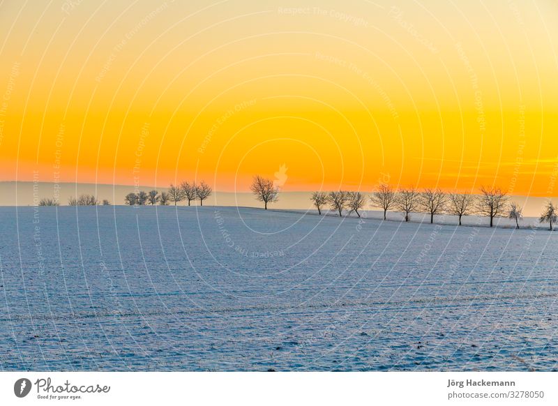 Winterlandschaft mit Baumallee im Sonnenuntergang harmonisch Schnee Landschaft Himmel Horizont Wetter weich blau weiß Gefühle Einsamkeit Bad Frankenhausen kalt