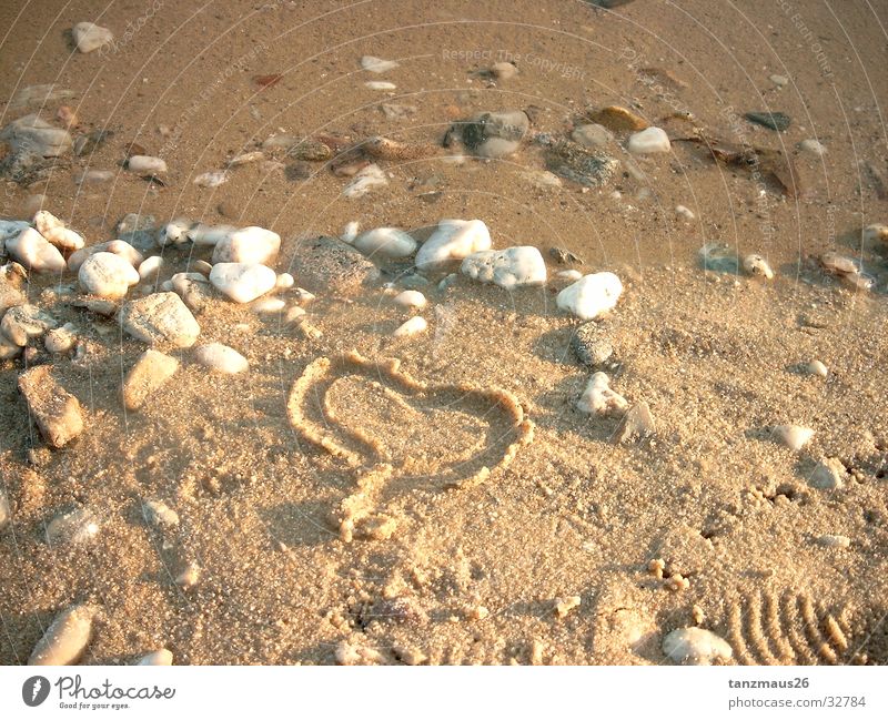 er liebt mich Strand Meer Fototechnik Herz Sand Stein Wasser Liebe