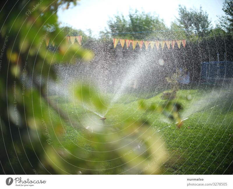 Es war einmal sehr heiss. . . Lifestyle Fitness Sport-Training Wasser Wassertropfen Klima Klimawandel Wetter Regen Garten Park Haus natürlich Sauberkeit rasen