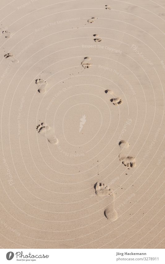 Menschenspuren am Sandstrand Freude Freizeit & Hobby Ferien & Urlaub & Reisen Freiheit Sommer Strand Meer Mann Erwachsene Fuß Natur Küste Wege & Pfade Fußspur