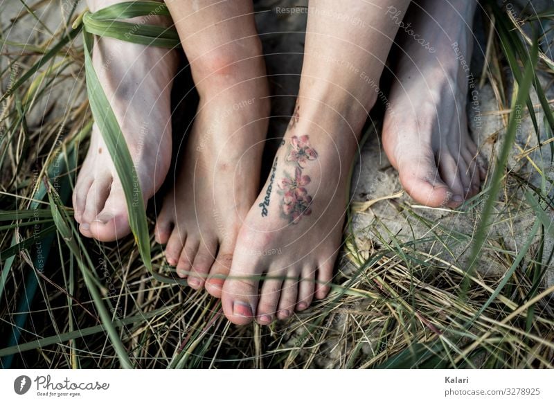 Füße eines Paares am Strand fuss gras barfuss paar nagellack tattoo green frau toe bein sommer nackt natur human leute familie jung ausserhalb körper weiß