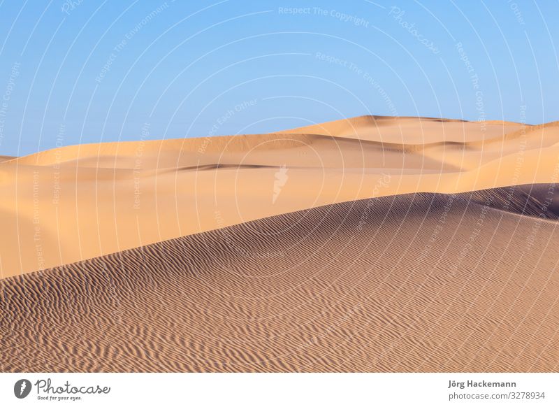 Sanddüne bei Sonnenaufgang in der Sonora-Wüste schön Natur Landschaft Himmel Wind Wärme heiß blau gelb Arizona Beautyfotografie USA Afrika Afrikanisch amerika