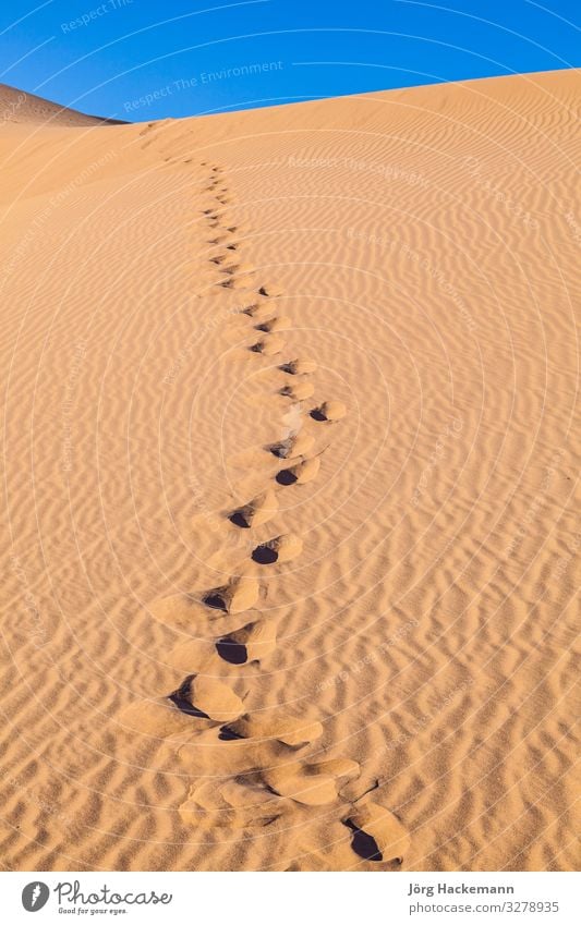 Sanddüne bei Sonnenaufgang in der Wüste mit Menschenspuren schön Ferien & Urlaub & Reisen Abenteuer Safari Natur Landschaft Himmel Wind Wärme Fußspur heiß blau