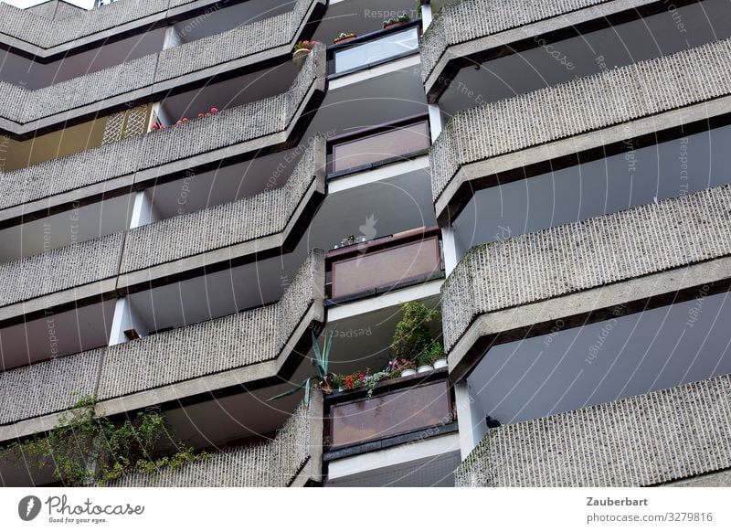 Wohnhaus am Spittelmarkt, Berlin Grünpflanze Topfpflanze Stadt Stadtzentrum Menschenleer Hochhaus Bauwerk Plattenbau Mauer Wand Fassade Balkon Beton