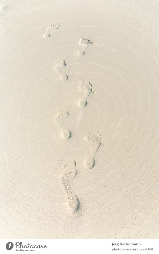 Fußabdruck eines Erwachsenen am Strand Meer Mensch Natur Sand Fußspur Einsamkeit Ko Samet Koh Samet Thailand Asien Barfuß übersichtlich fein Eindruck Spuren