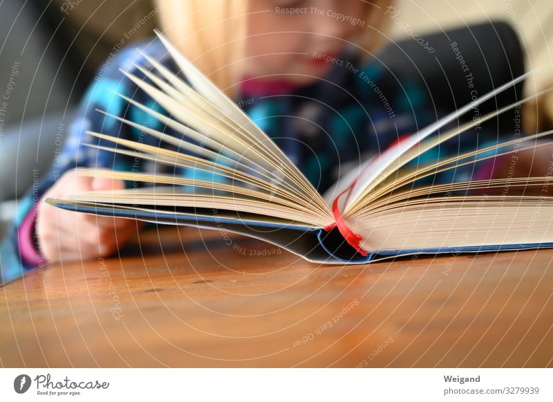 Lesestart Kindererziehung Bildung Kindergarten Schule lernen Klassenraum Schulkind Mädchen Kindheit 1 Mensch 3-8 Jahre lesen Neugier Interesse Hoffnung Buch